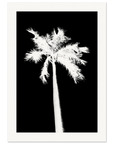 Schwarz-weißes Palmenmotiv – Poster „Breezy Palm“ bei maavr
