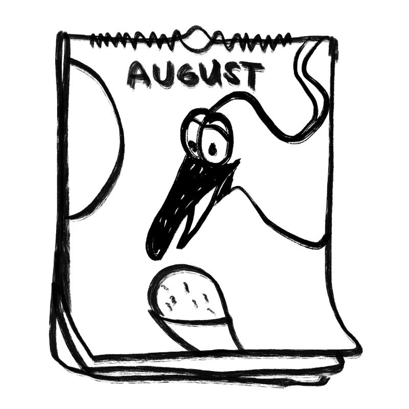 Coastal Cartoon Kalender
