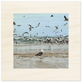 Wandbild auf Holz mit Möwen am Strand