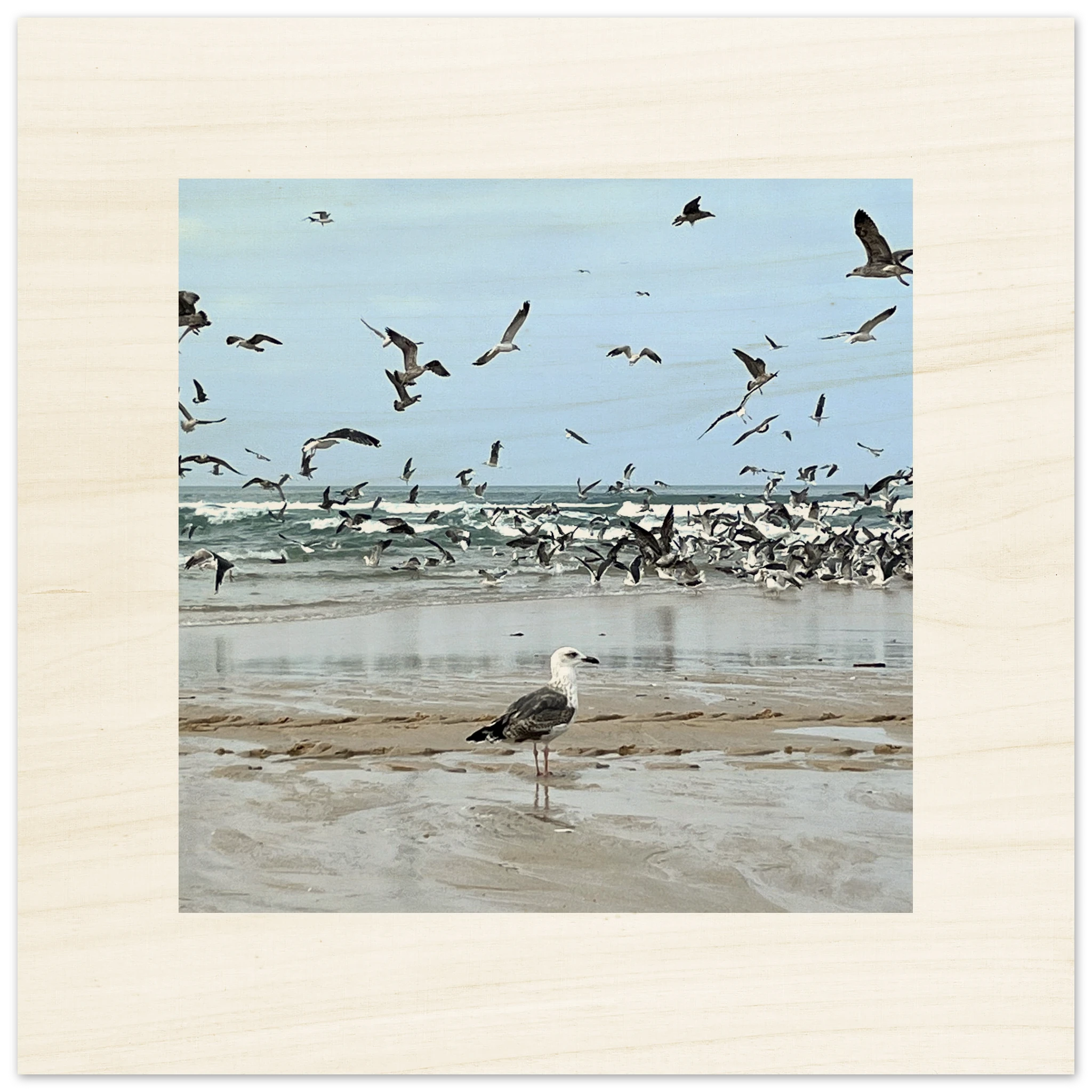Wandbild auf Holz mit Möwen am Strand