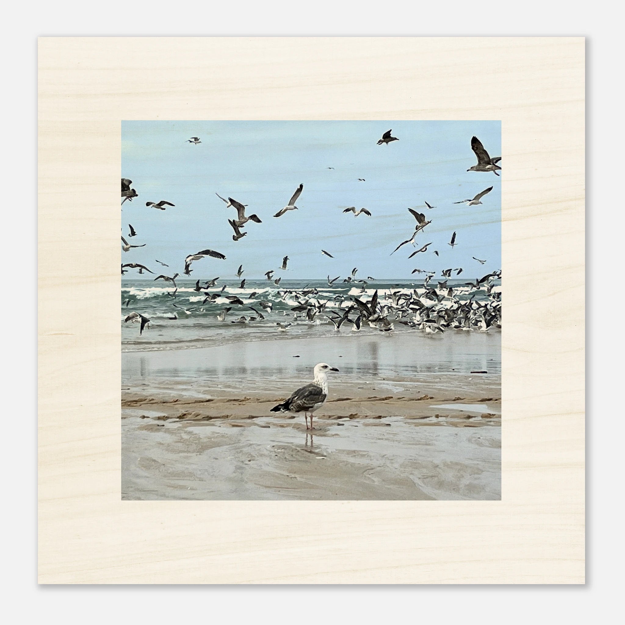 Holzbild mit Möwen am Strand vor dem Meer