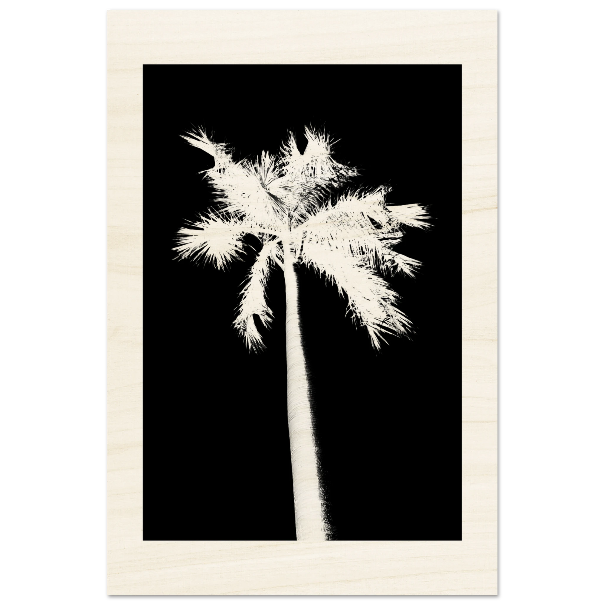 Minimalistischer Palmen Holzdruck auf Birkenholz – schwarz weißes Palmen Wandbild im Poster Stil
