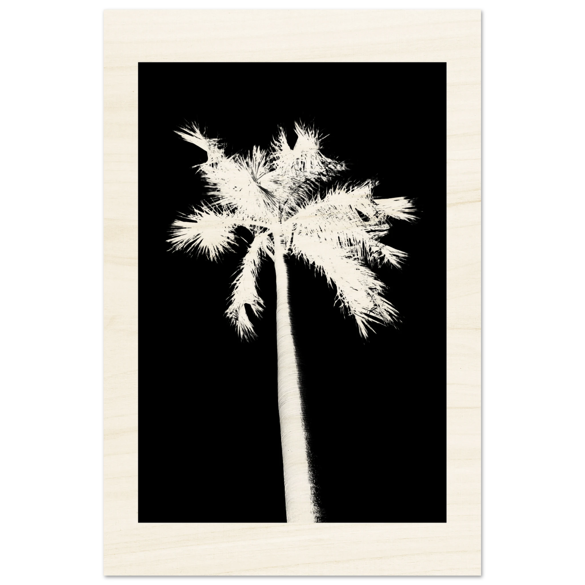 Minimalistischer Palmen Holzdruck auf Birkenholz – schwarz weißes Palmen Wandbild im Poster Stil

