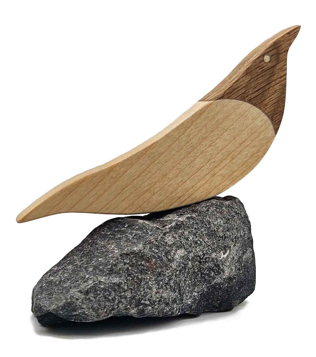 Holzmöwe auf Stein