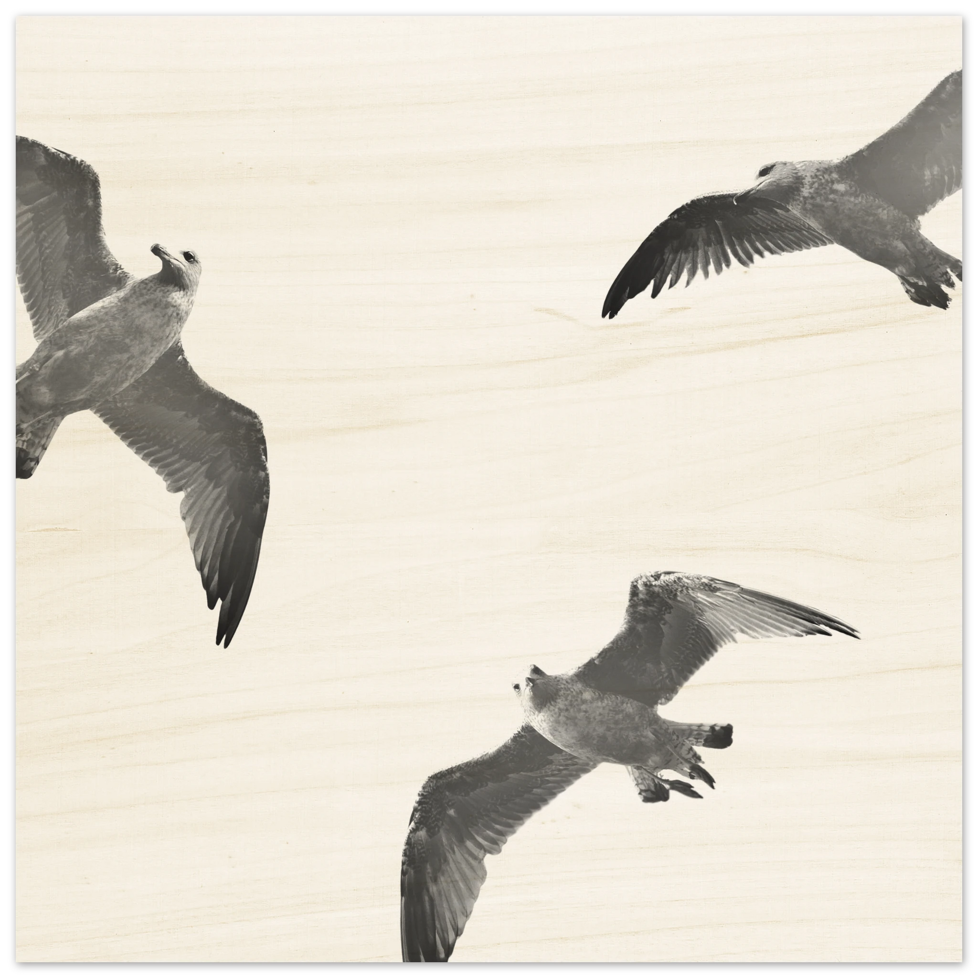 Holzdruck Wandbild mit fliegenden Möwen über der Küste – minimalistisches maritimes Motiv auf hellem Holz
