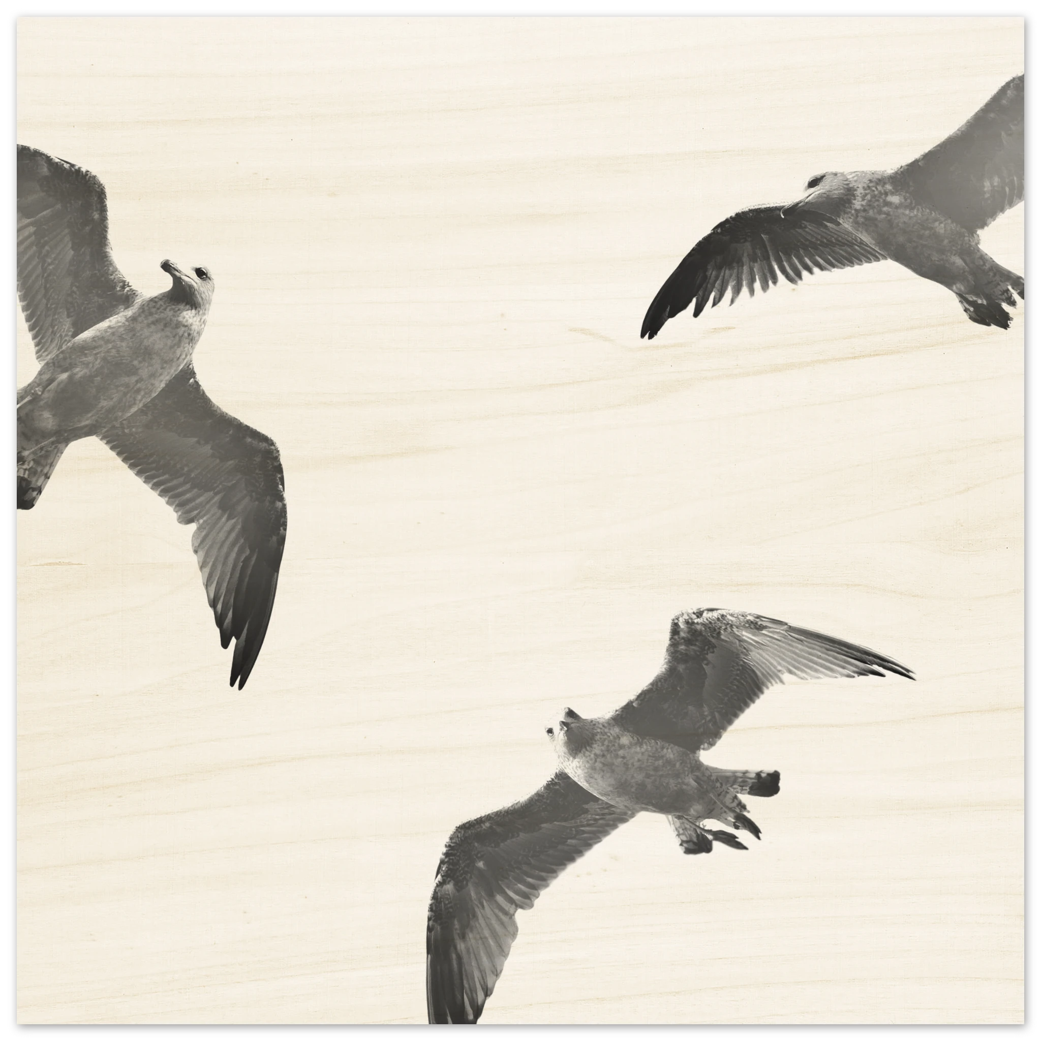 Holzdruck Wandbild mit fliegenden Möwen über der Küste – minimalistisches maritimes Motiv auf hellem Holz
