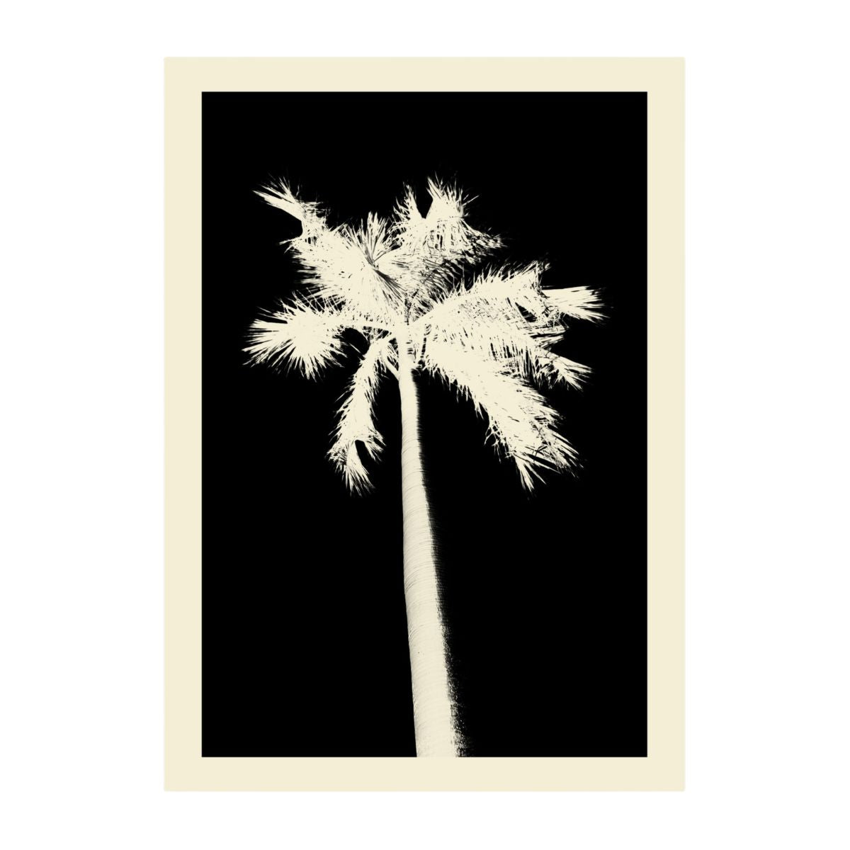 Palms - Postcard & Greeting Card Set, 4 Cards