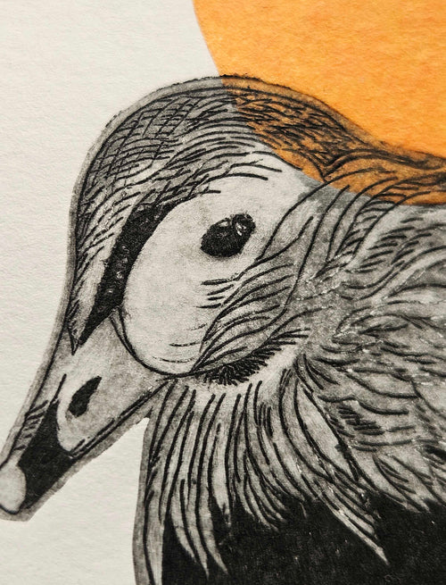 Nahaufnahme der Radierung Pato mit fein gezeichnetem Entenkopf und orangefarbener Sonne.