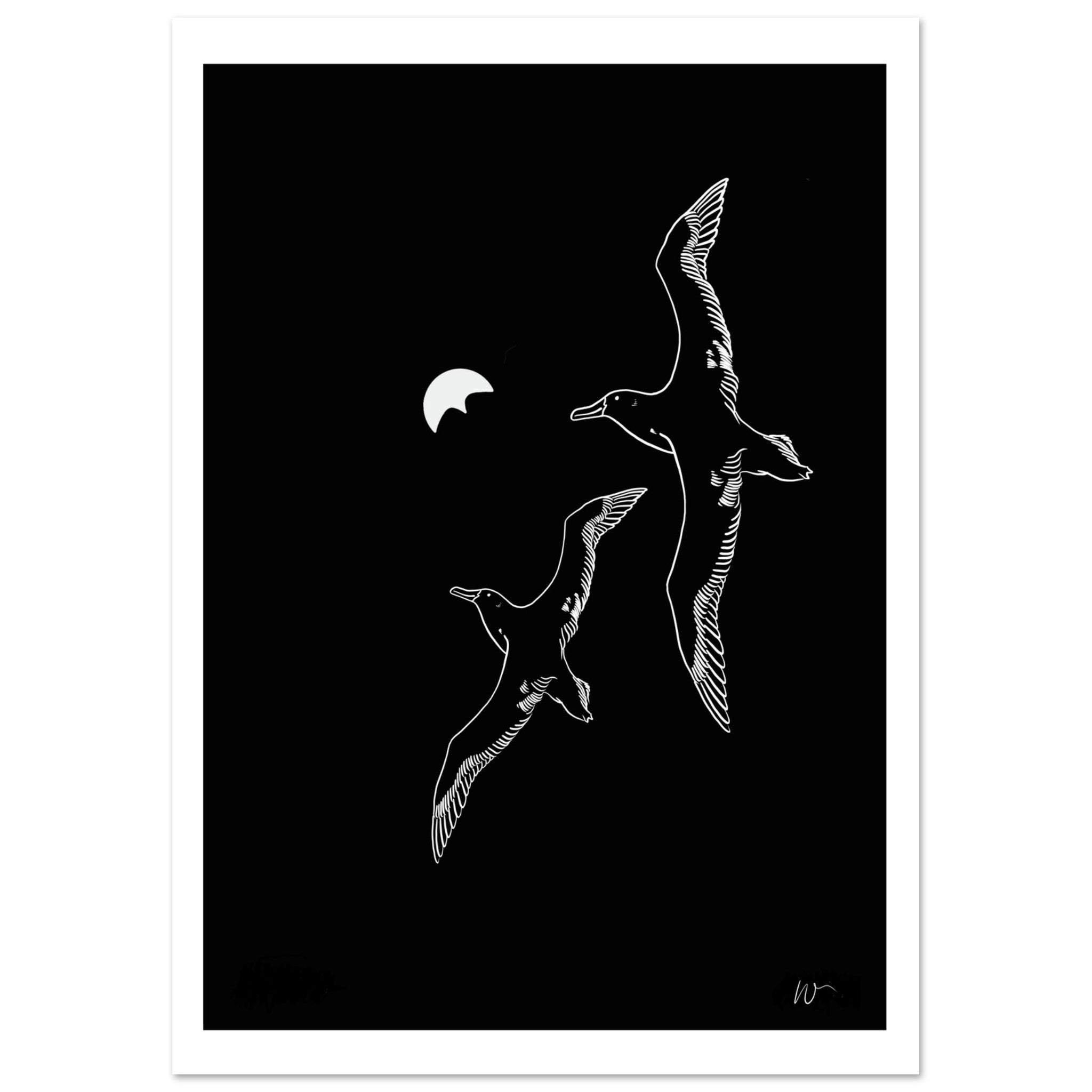 Minimalistisches Poster mit fliegenden Seevögeln und Wingfoil-Wing in Mondform auf schwarzem Hintergrund
