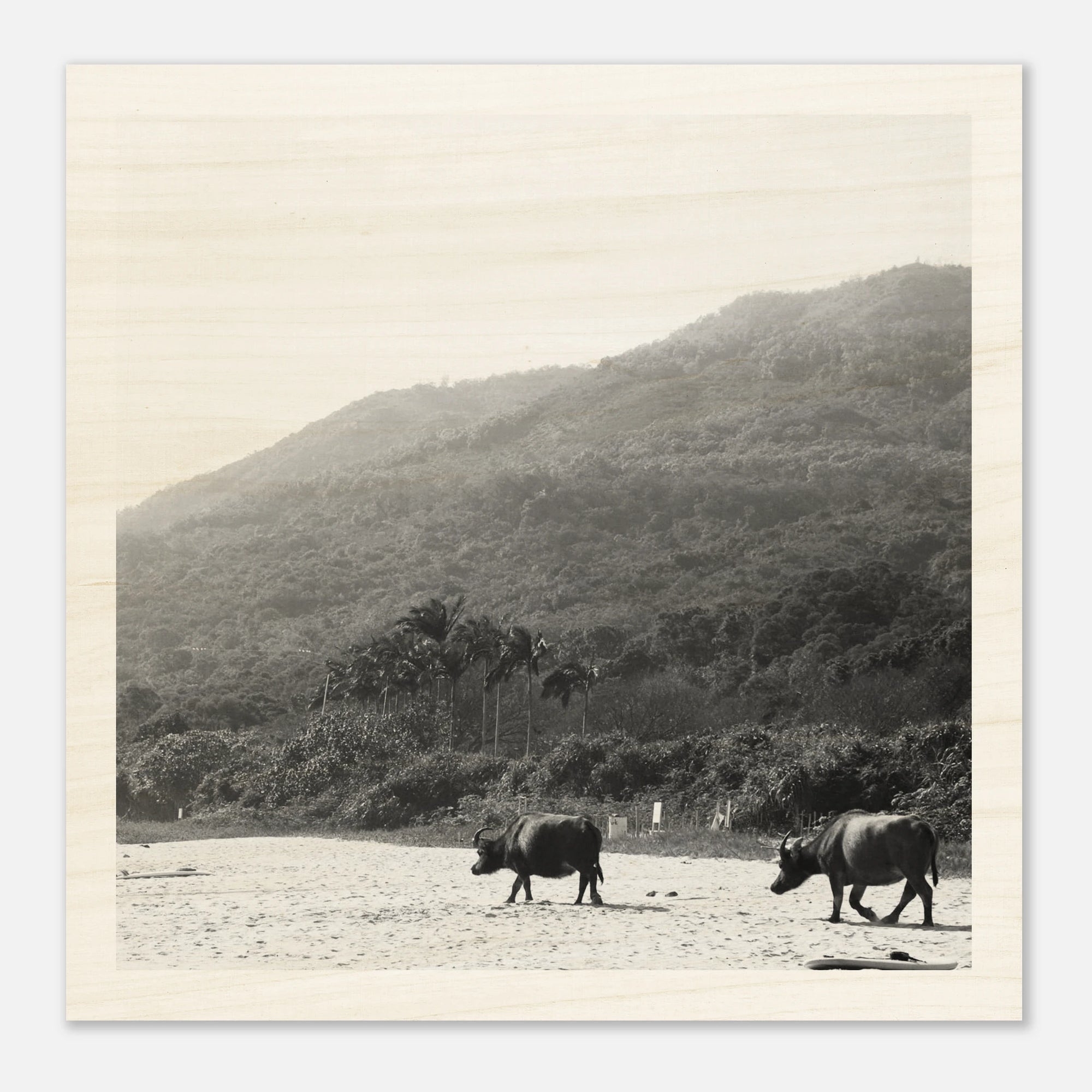 c5c3bb7a-32d9-47ab-a4ff-90b8ce1d3043