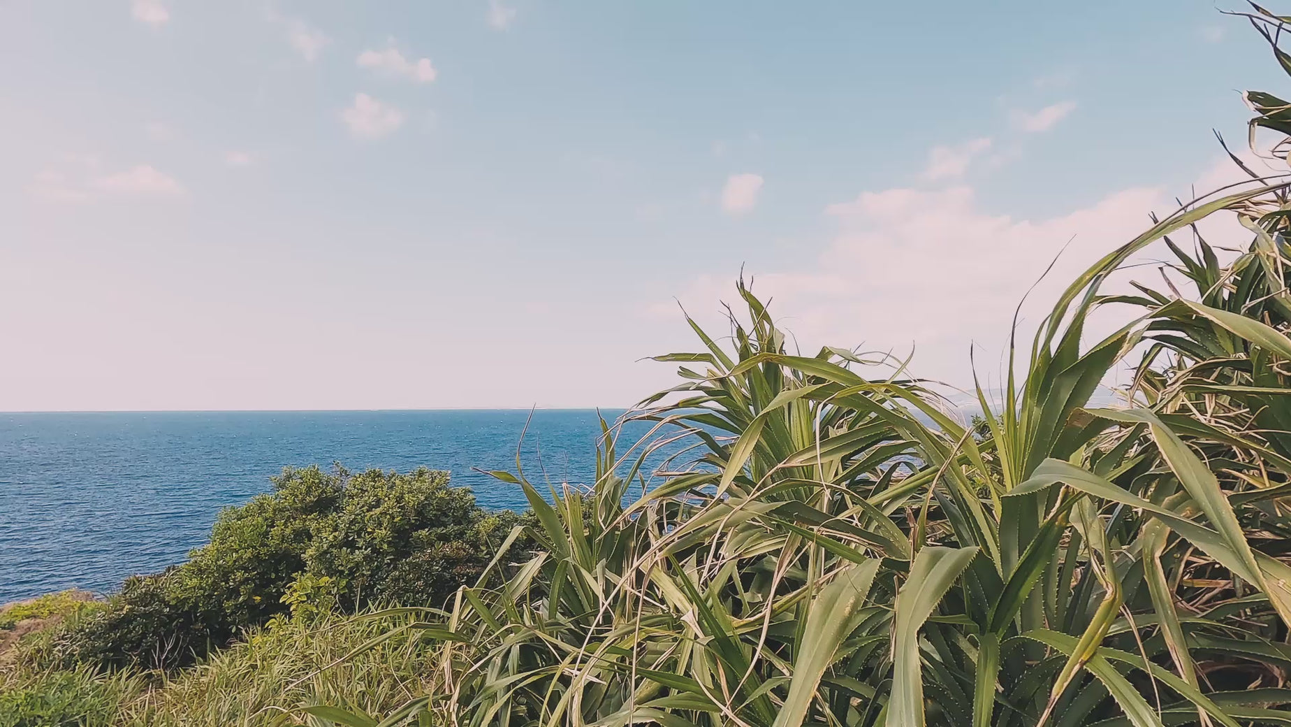 Video zeigt eine Reihe ruhiger Szenen am Meer - Beachlife, Surf, Wingfoil, Sonnenuntergang - Lifestylevideo von maavr