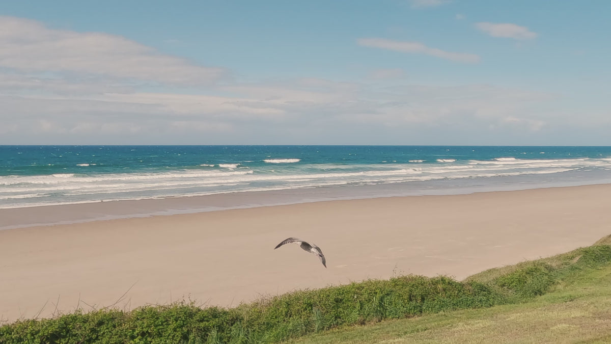 Video zeigt nordspanische Küstenlandschaft  und eine auftseigende Möwe im Wind