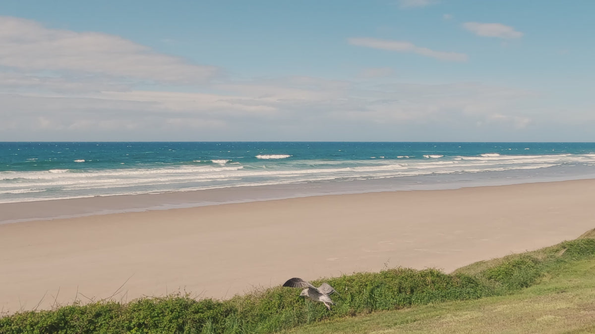 Video zeigt nordspanische Küstenlandschaft  und eine auftseigende Möwe im Wind